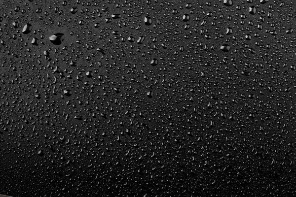 Foto Lux Primer 1